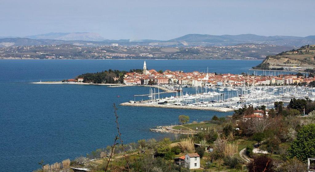 Apartma Soncek Izola Exterior foto